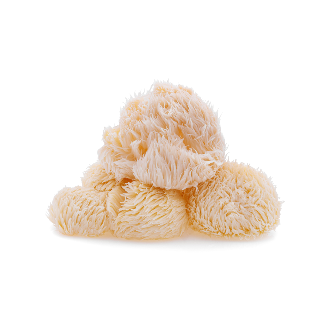 Lion's Mane extract used to enhance memory and cognitive function